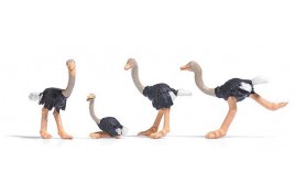 4 Ostriches OO/HO Scale